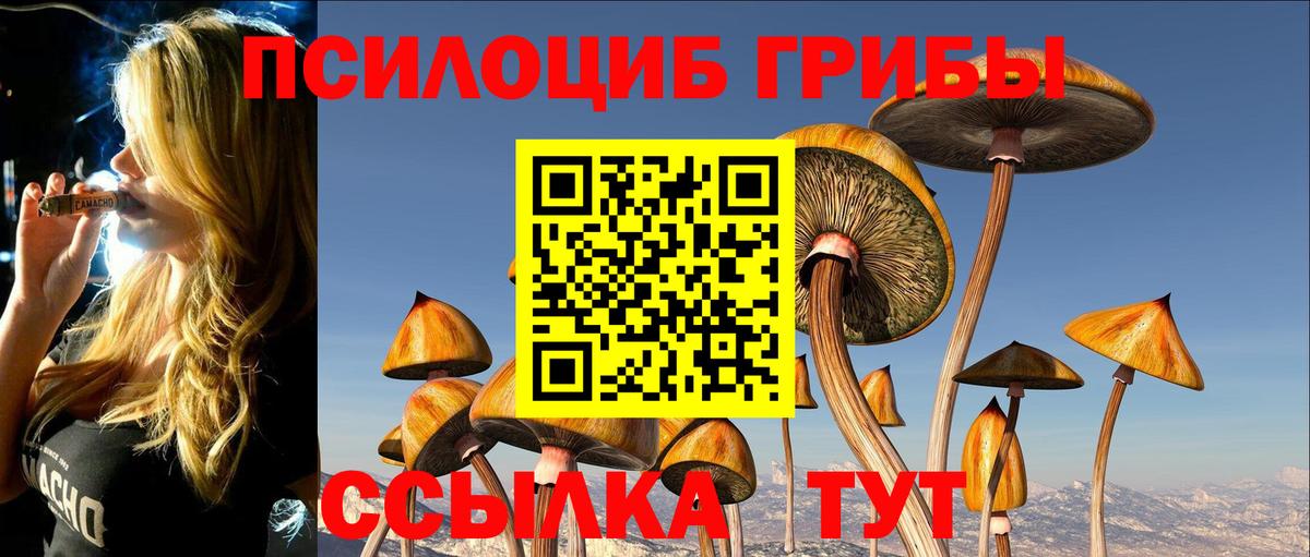 Псилоцибиновые грибы прущие грибы  Вход с VPN  Аксай  Псилоцибиновые грибы Magic Shrooms 